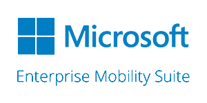 Microsoft Ems Logo