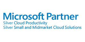 Microsoft Partner Silver Cloud Productivity Logo